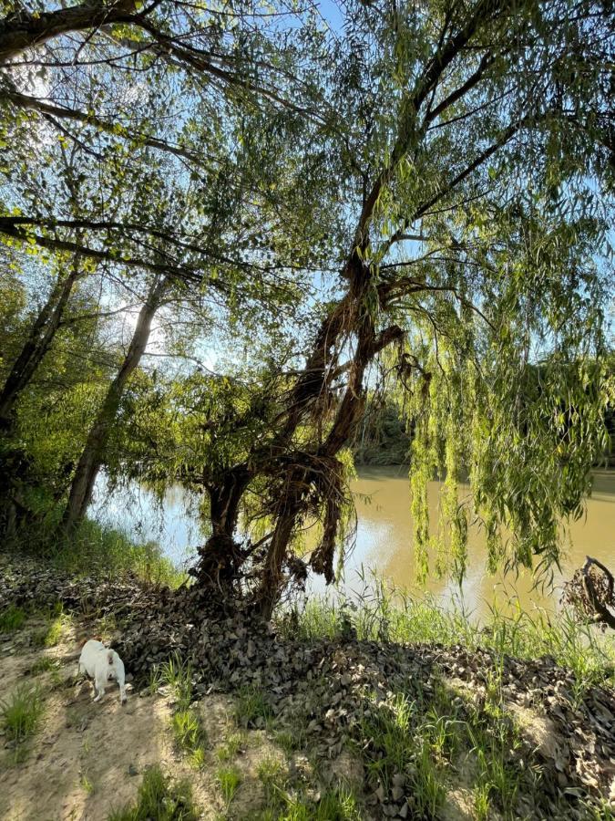 At The River Guest House Kroonstad Εξωτερικό φωτογραφία